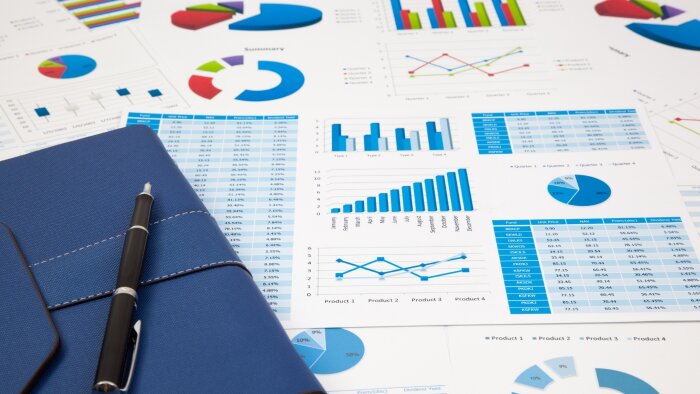 Excel ve Access verilerinizi hızlıca raporlara dönüştürürüm