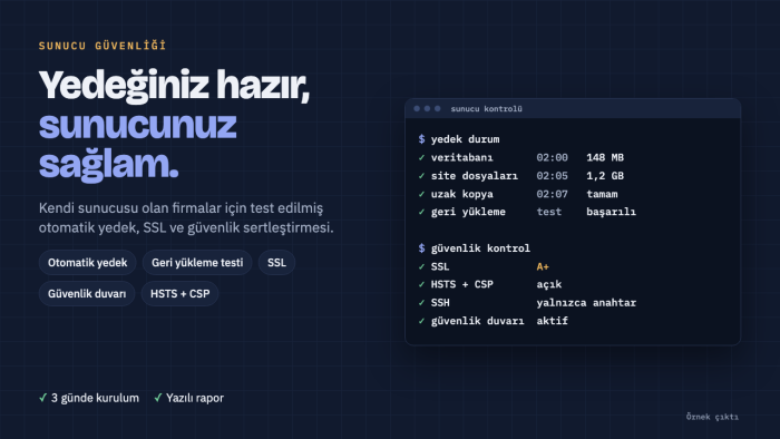 sunucunuza otomatik yedek kurup güvenliğini artırırım