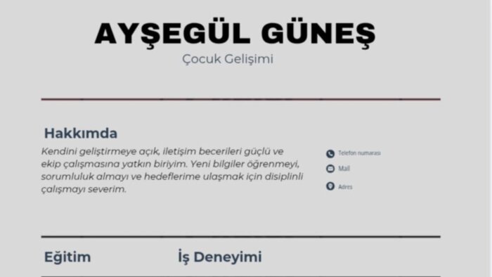 CV'nizi düzenli ve sade bir şekilde tasarlayabilirim
