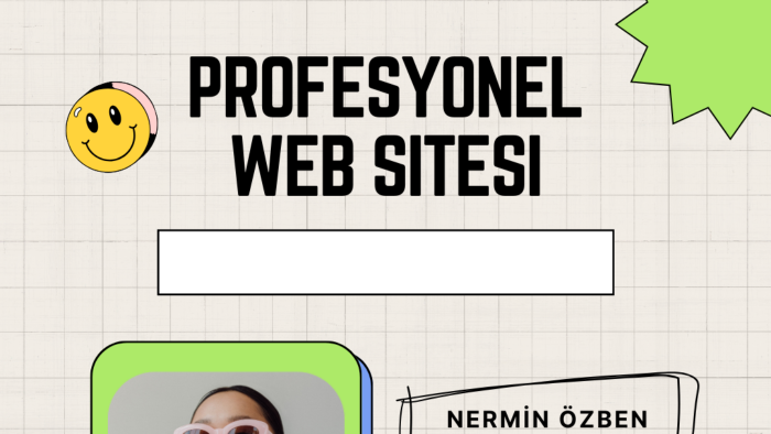 profesyonel web sitesi yapabilirim