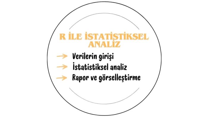 R programı ile istatistiksel analiz yaparım