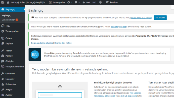 wordpress içerik girişi yapabilirim