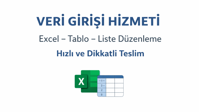 basit veri girişi ve düzenleme işlerinizi yapabilirim