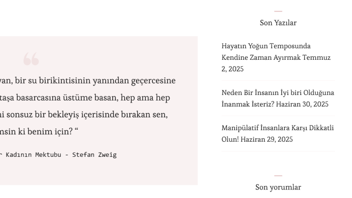 web sitelerinizi güzel temalarla düzenlerim