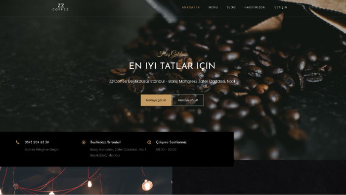 size özel kodlanmış, mobil uyumlu web sitesi tasarlıyorum