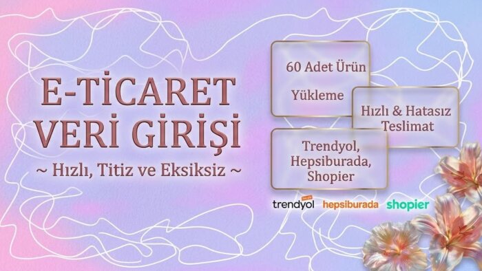 e-ticaret siteleriniz için veri girişi yapabilirim