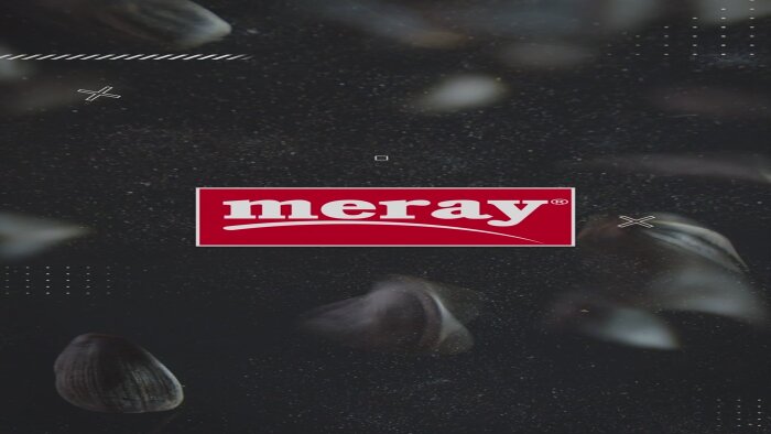 profesyonel reklam videoları yapıyorum
