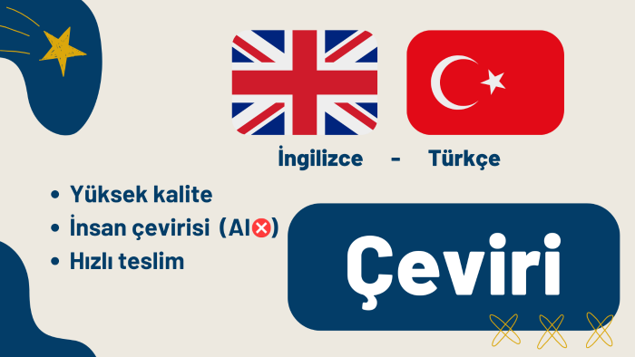 profesyonel çeviri yaparım