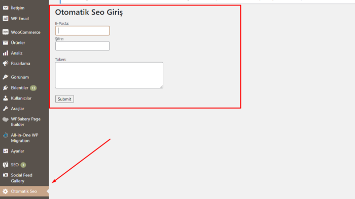 profesyonel wordpress eklentisi yazarım