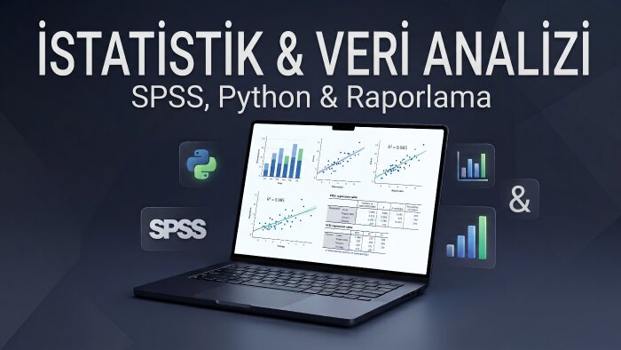 istatistiksel veri ve anket analizi yapabilirim