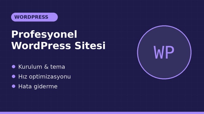 anahtar teslim profesyonel WordPress sitenizi kurarım
