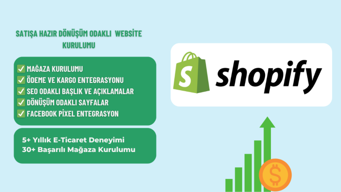 satışa hazır e-ticaret sitesi kurarım