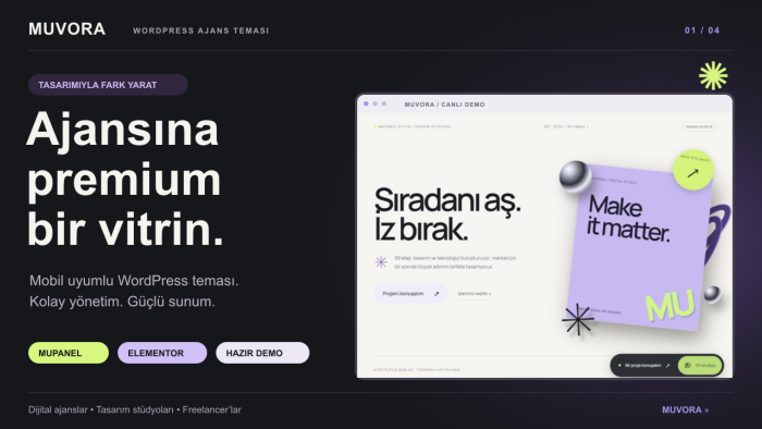 premium WordPress ajans teması sağlarım