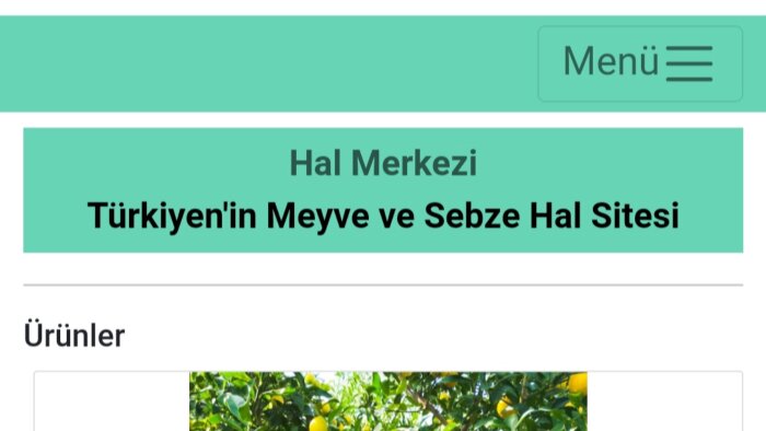 bakanlık tecrübesi ile web sitesi geliştiriyorum