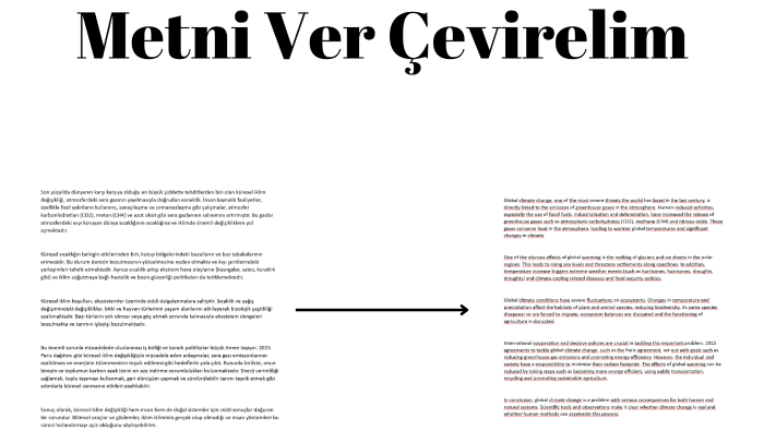 sizin için kişiye özel çeviri yapabilirim