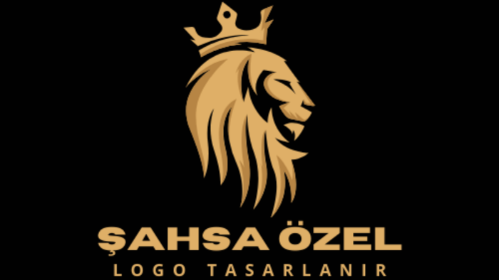 size özel kurumsal ve hikayeli logolar tasarlayabilirim