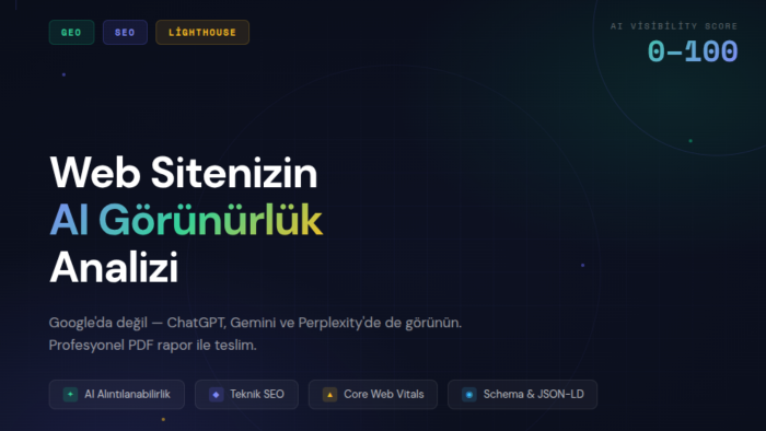  web siteniz için GEO + SEO + Lighthouse analizi yaparım