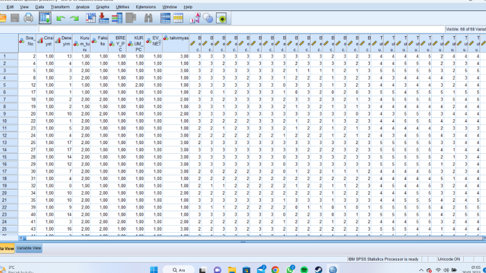 SPSS ile veri analizi ve raporlama yaparım