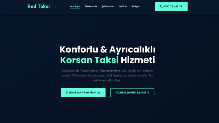 profesyonel web sitesi tasarlarım