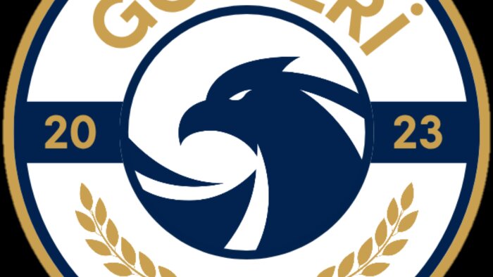 logo tasarımı yaparım