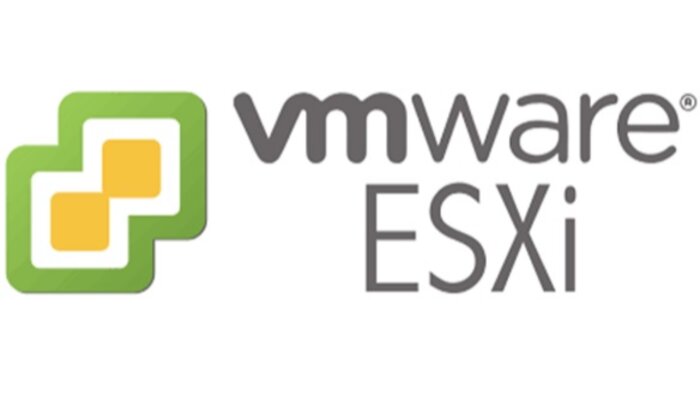 sunucunuza vmware esxi işletim sistemi kurarım
