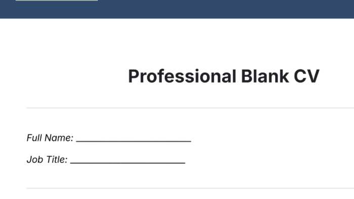 sizin için profesyonel, sade ve hoş CV hazırlayabilirim