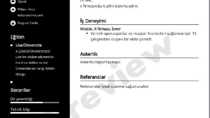 Profesyonel CV hazırlayabilirim