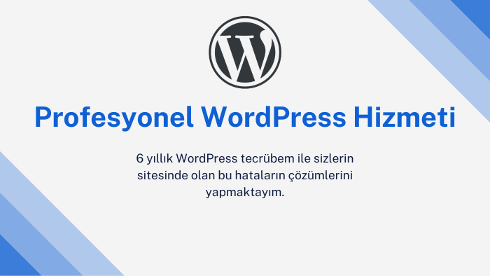 WordPress tema kurulumu ve destek hizmeti sunarım