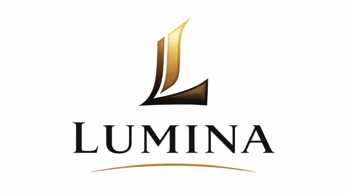 işletmeniz için modern ve akılda kalıcı logo tasarlarım