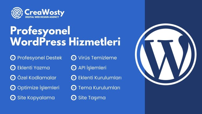 tüm wordpress problemlerinizi çözebilirim