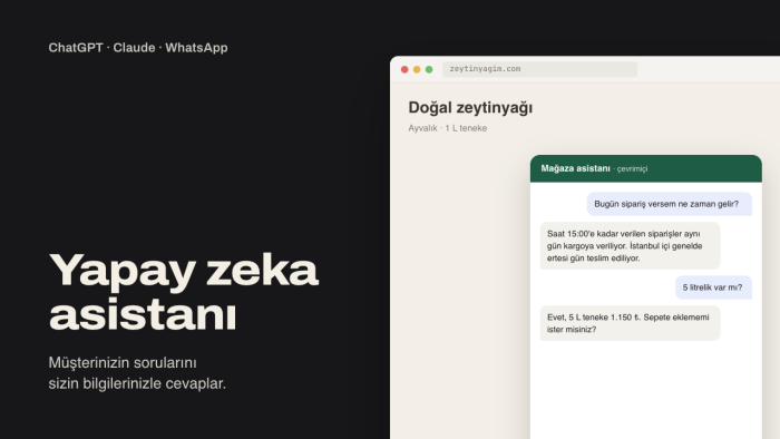sitenize ve WhatsApp'a yapay zeka destekli asistan kurarım