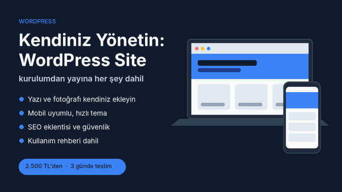 WordPress ile kendiniz yönetebileceğiniz web sitesi kurarım