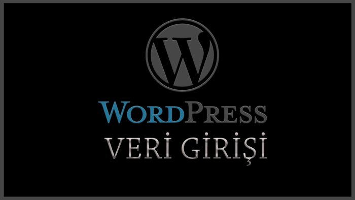 wordpress sitenize veri girişi yapabilirim