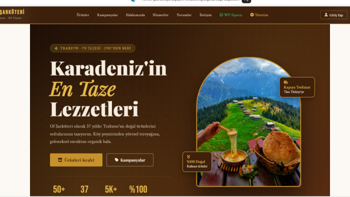 modern ve kullanıcı dostu web arayüzleri tasarlıyorum