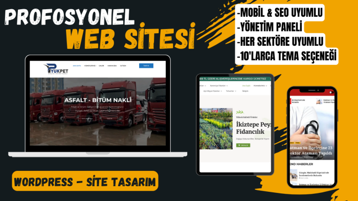 anahtar teslim web sitesi yapabilirim