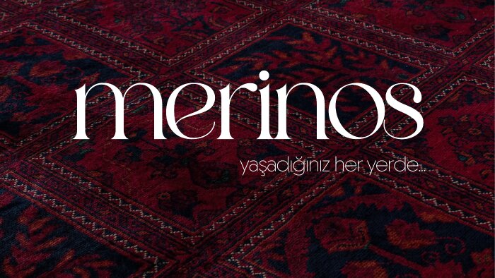 logo tasarımım ile sizi öne çıkartırım