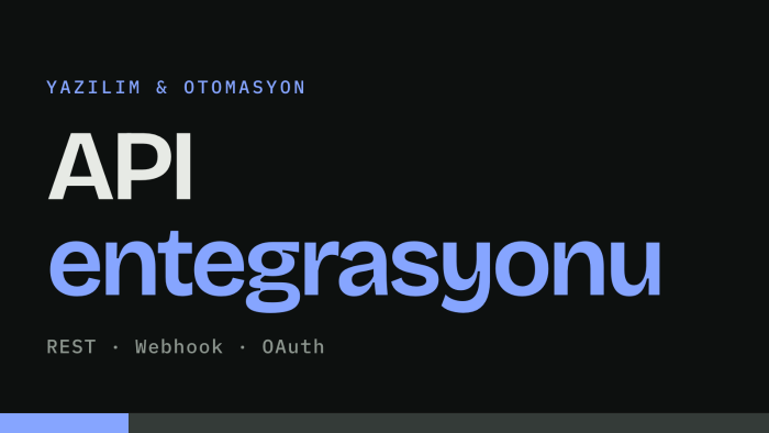 sisteminize API entegrasyonu ve veri aktarımı yaparım