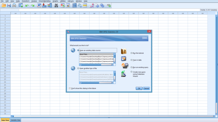 SPSS analizinizi yapabilirim