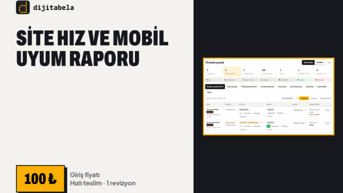 web sitenizin hız ve mobil uyum raporunu çıkarırım