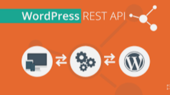 wordpress api eklentisi yazabilirim