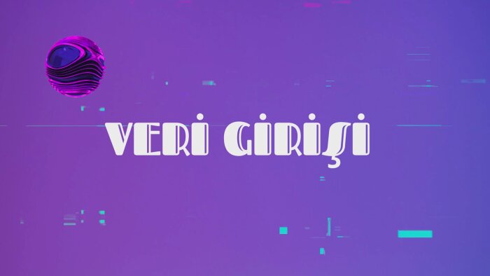 veri girişi ve düzenleme süreçlerini titizlikle yönetirim