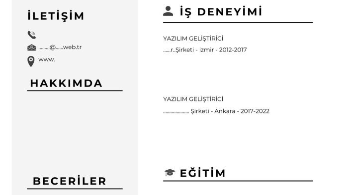 profesyonel cv ve ön yazı hazırlarım