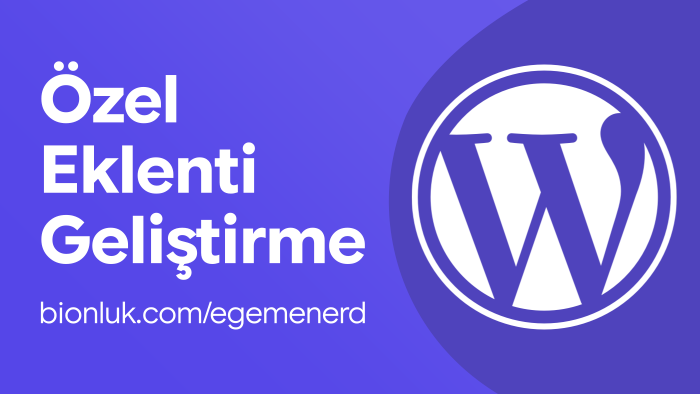 wordpress eklentisi yapabilirim