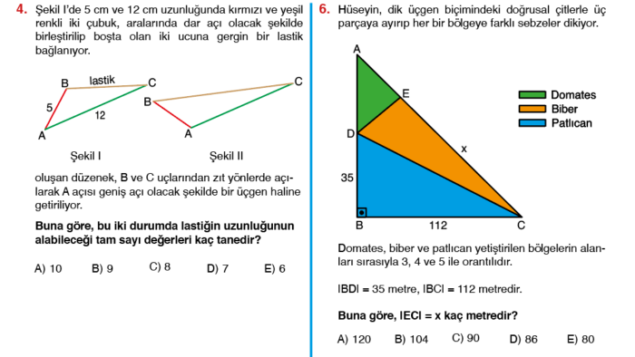 soru bankalarınızı PDF formatında size teslim ederim