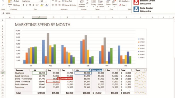 Microsoft Excel programında uzmanım