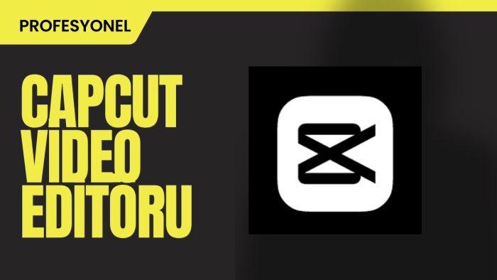 videolarınızı editleyebilirim