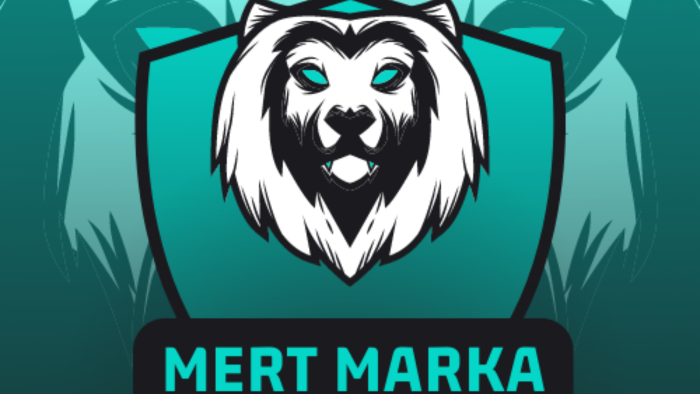 logo tasarımlarını yaparım