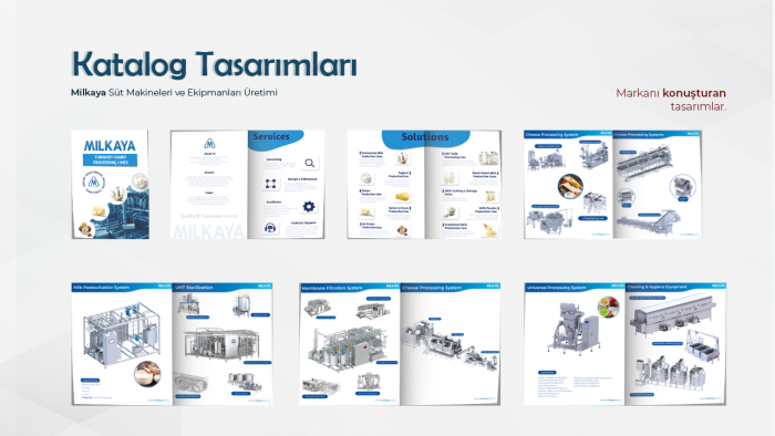 sizler için katalog, el ilanı ve broşür tasarımı yapabilirim