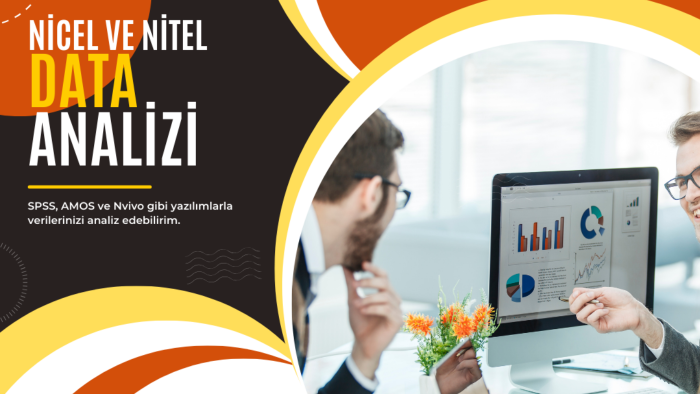 SPSS, AMOS veya Nvivo'daki verileri yorumlayıp raporlarım