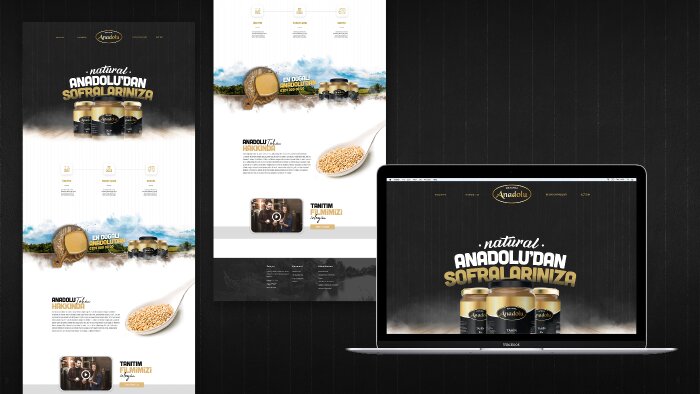 profesyonel web sitesi ihtiyaçlarınızı karşılayabilirim